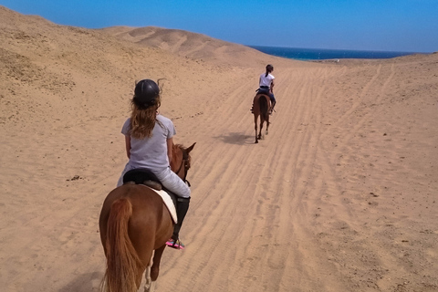 Hurghada: Sunset Sea, Desert Horse W Opt, Dinner, Stargazing Sunrise Hurghada: 4-hour Horse Ride With Swim Stop