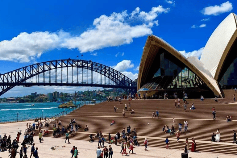Tour privati: Tour di un giorno intero della città di Sydney e tour panoramico