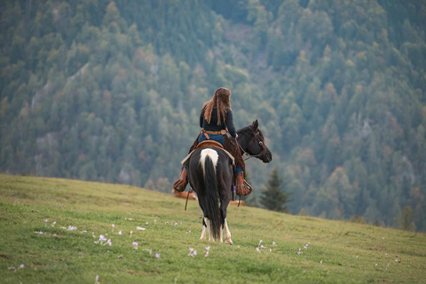 Quito: Full-Day Cotopaxi Horseback Tour & Volcano Views