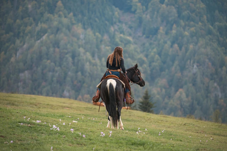 Quito: Full-Day Cotopaxi Horseback Tour & Volcano Views