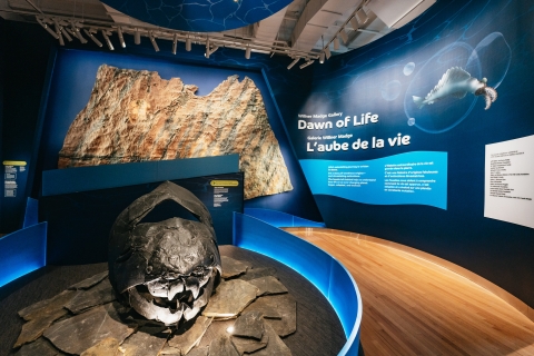 Royal Ontario Museum: General Admission Ticket General Admission & Wildlife Photographer of the Year