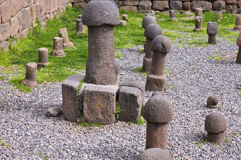 From Puno: Aymara Route Guided Tour with Shaman Ceremony