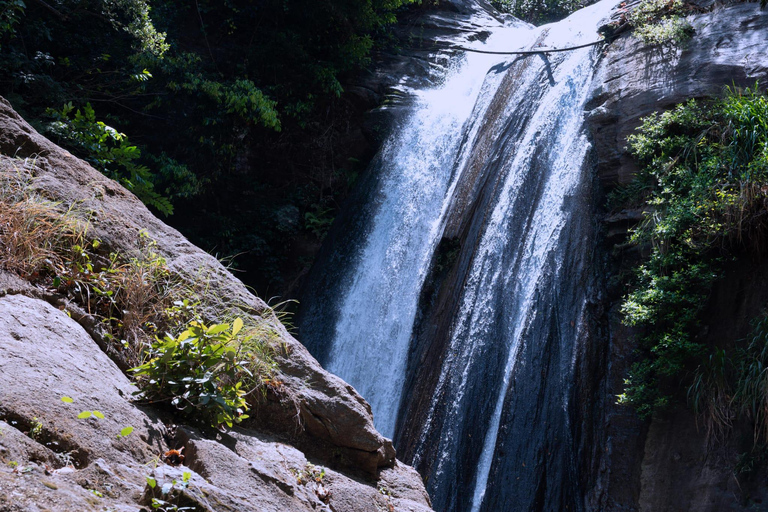 Ella: NineArches Bridge,Mini adam's peak and Waterfalls Tour