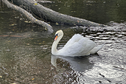 Christchurch City Top Spots - prywatna wycieczka półdniowa