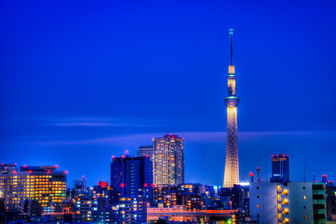 Excursão de 1 dia a Tóquio: Skytree, Santuário Meiji com motorista inglês