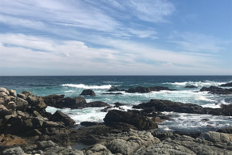 From Santiago: Full-Day Tour of Viña del Mar and Valparaiso