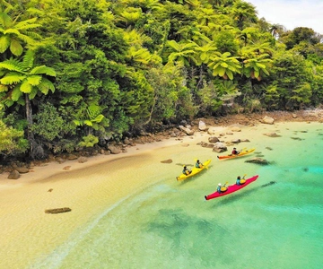 Parco nazionale Abel Tasman: tour in battello, kayak ed escursione