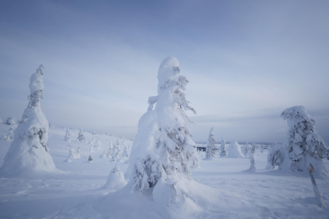 Rovaniemi: World's northernmost Roller Coaster +Riisitunturi