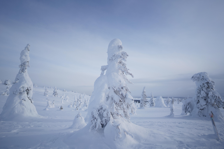 Rovaniemi: World's northernmost Roller Coaster +Riisitunturi