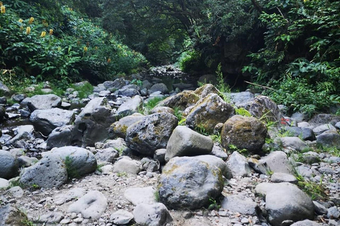 Nordeste watervallen halve dag wandelingPrivébelevenis met de watervallen van Nordeste