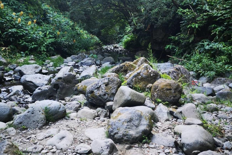 Nordeste watervallen halve dag wandelingPrivébelevenis met de watervallen van Nordeste