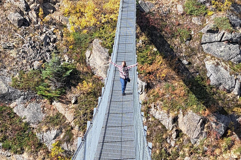 1/2 Day Yukon and Suspension Bridge Adventure