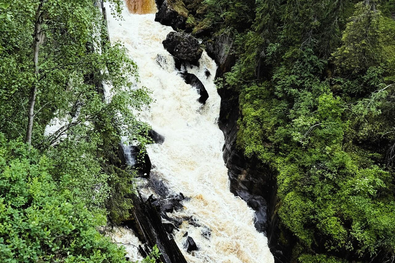 Rovaniemi to Ruka Roller Coaster & Korouoma Canyon Waterfall