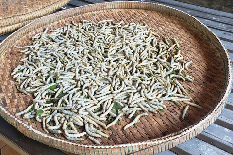 Phnom Penh: Silk Island, Killing Fields, and S-21 Tour