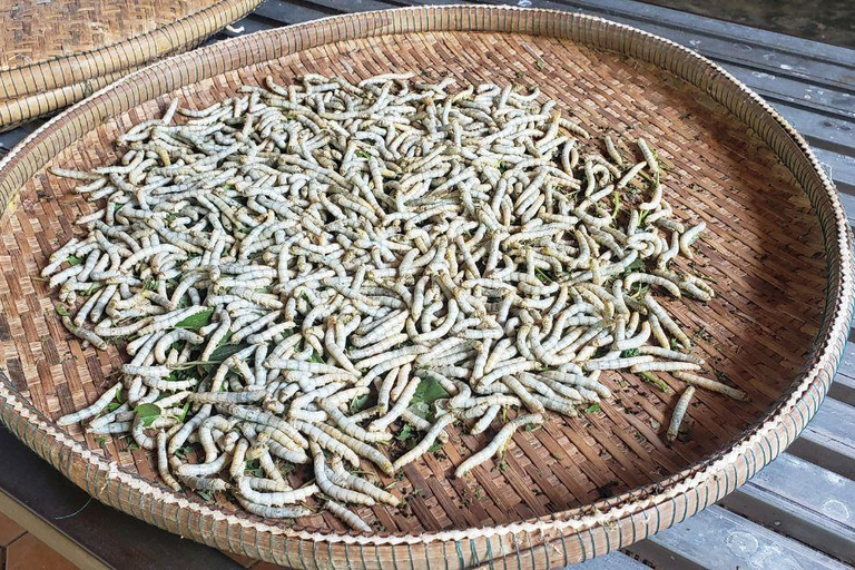 Phnom Penh: Silk Island, Killing Fields, and S-21 Tour
