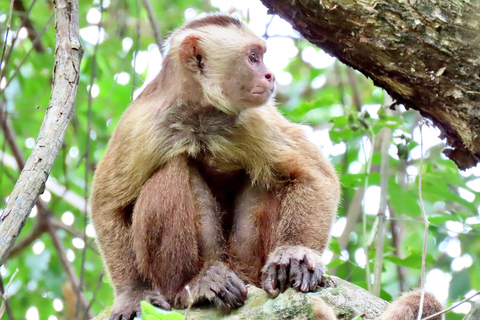 Tayrona National park hike experience