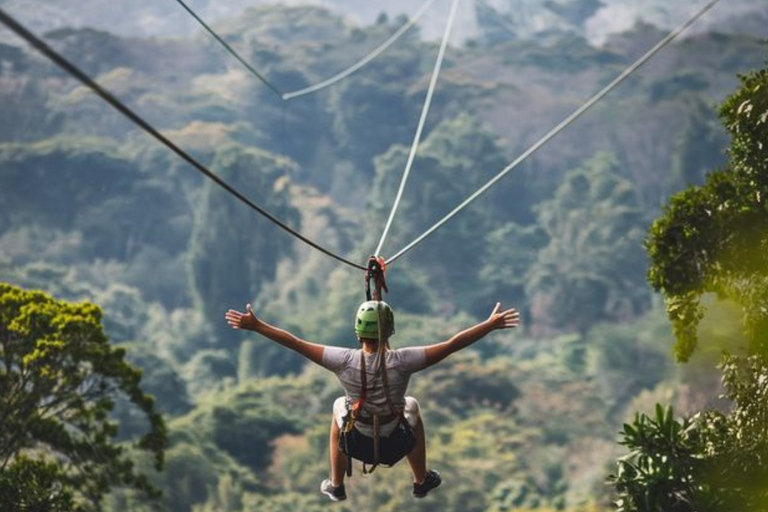 From Kigali: Nyungwe Park Waterfall Hike, Canopy & Zipline