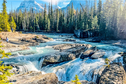Louise, Moraine, Emerald, Peyto: tour dei 4 laghiTour dei 4 laghi: Louise, Moraine, Emerald, Peyto
