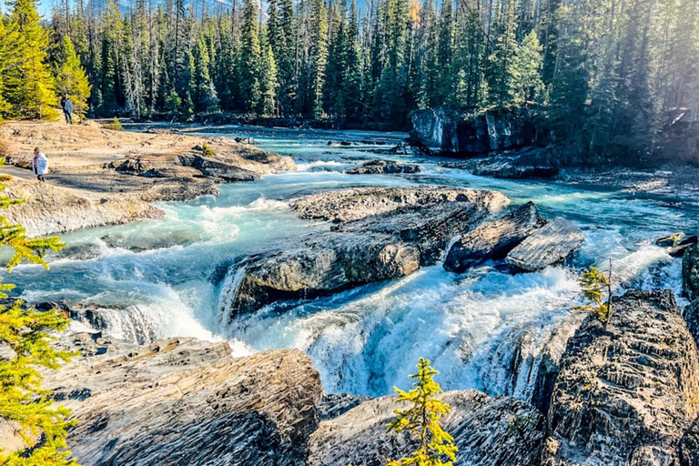 Louise, Moraine, Emerald, Peyto: tour dei 4 laghiTour dei 4 laghi: Louise, Moraine, Emerald, Peyto