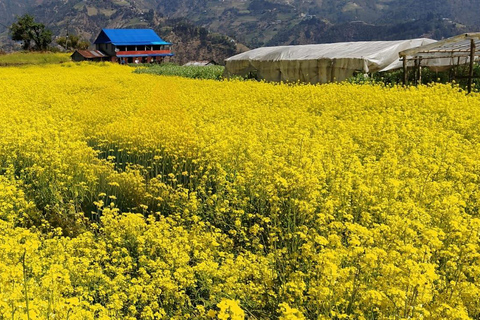 Kathmandu: 4-Day Chitwan National Park & Chitlang Tour