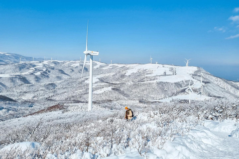 Depuis Séoul : Randonnée au lever du soleil de Taebaeksan sur les fleurs de neige et K-food