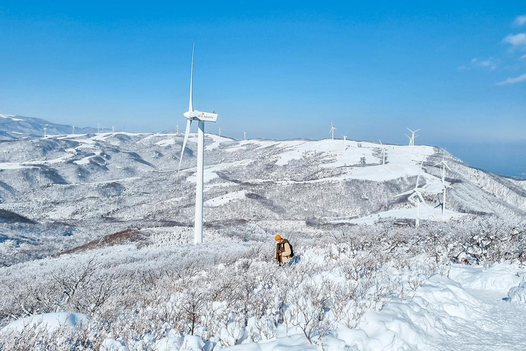 Depuis Séoul : Randonnée au lever du soleil de Taebaeksan sur les fleurs de neige et K-food