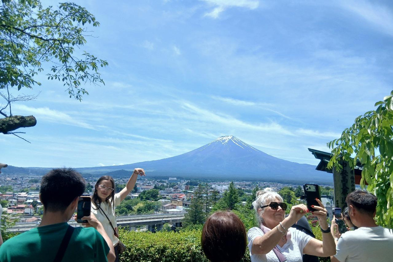 From Tokyo: Mt. Fuji Views Private Customize Itinerary Tour