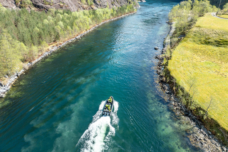 Bergen: Modalen RIB Fjord Safari with Lunch & Transfer