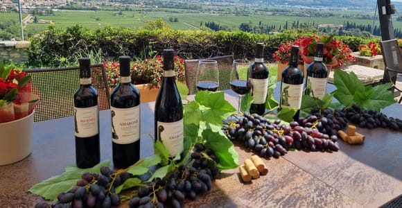 Valpolicella: Weinverkostung mit Panoramablick