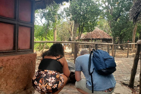 桑给巴尔：石头城、监狱岛和萨拉姆洞海龟