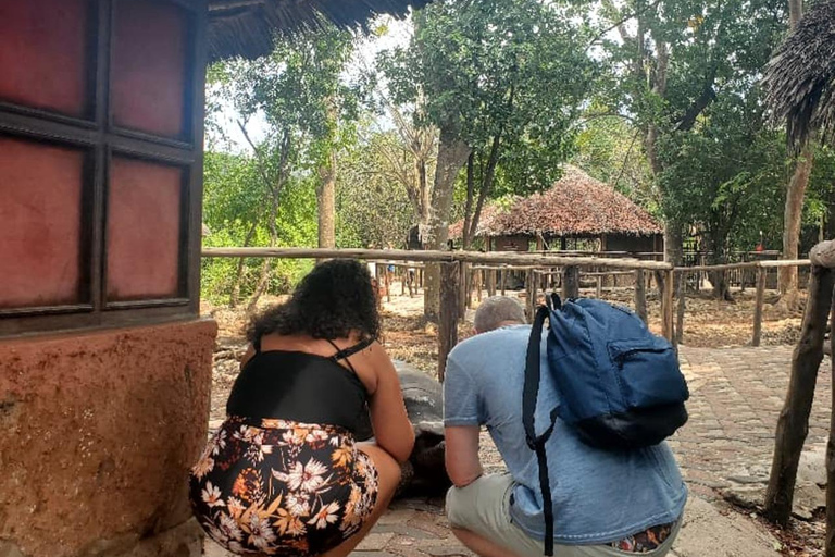 桑给巴尔：石头城、监狱岛和萨拉姆洞海龟