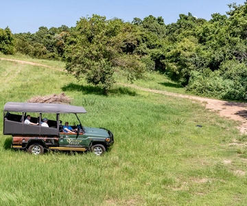 Sunset Drive From Hazyview - Kruger National Safari