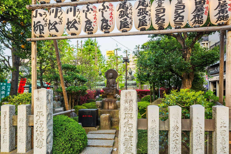 Tokyo: Private Customizable Tour with Driver-Guide