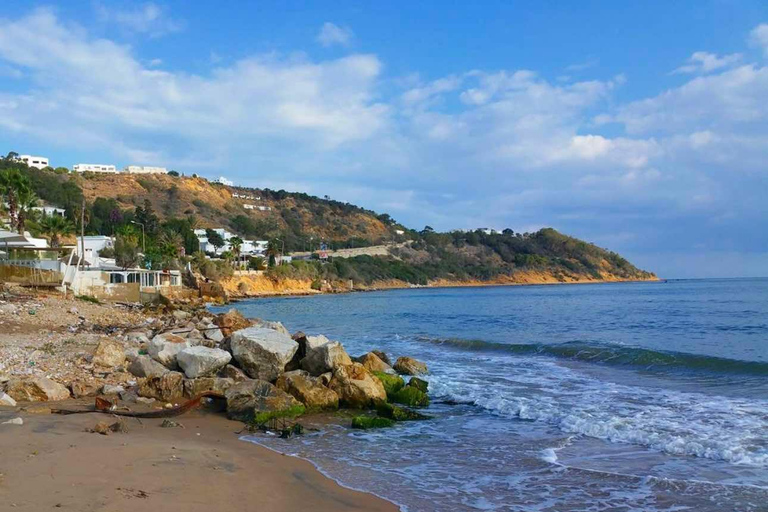 Gammarth & Sidi Bou Said: Sea & Colors Private Tour Pick Up From Tunis