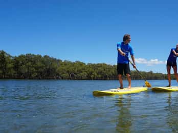 Byron Bay: Tour di gruppo di 2,5 ore in stand-up paddle board