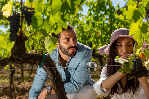 Montepulciano : Dégustation de vins avec charcuterie toscane typique