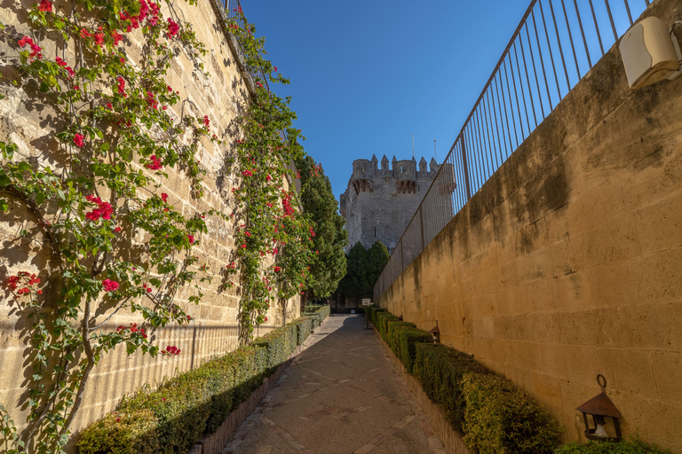 Visita guidata al Castello di Almodovar con ingresso inclusoVisita guidata al Castello di Almodovar con biglietto d&#039;ingresso incluso