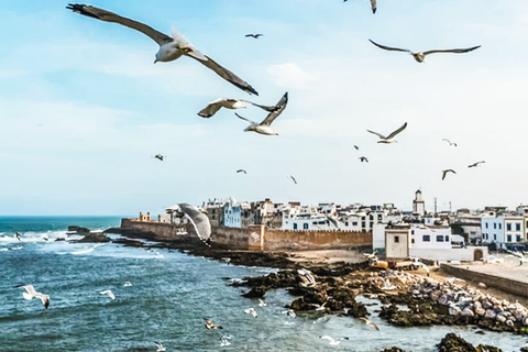 From Marrakesh: Essaouira Full-Day Trip Private Tour