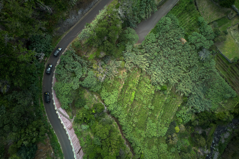 Tropical Tide, Porto Moniz & Fanal Forest 4WD Jeep Tour