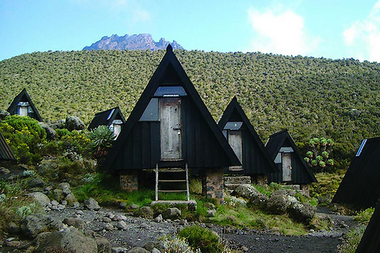 Kilimanjaro på en dag: Oförglömligt äventyr på Marangu Route