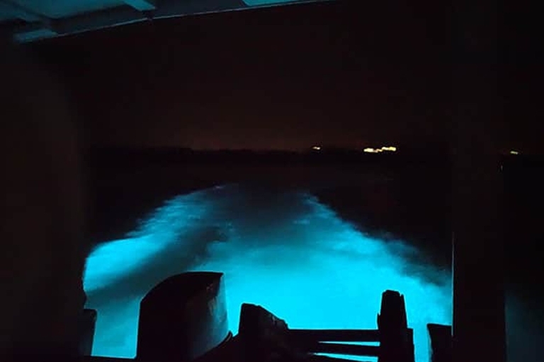 Prywatna wycieczka po Luminous Lagoon w Montego Bay