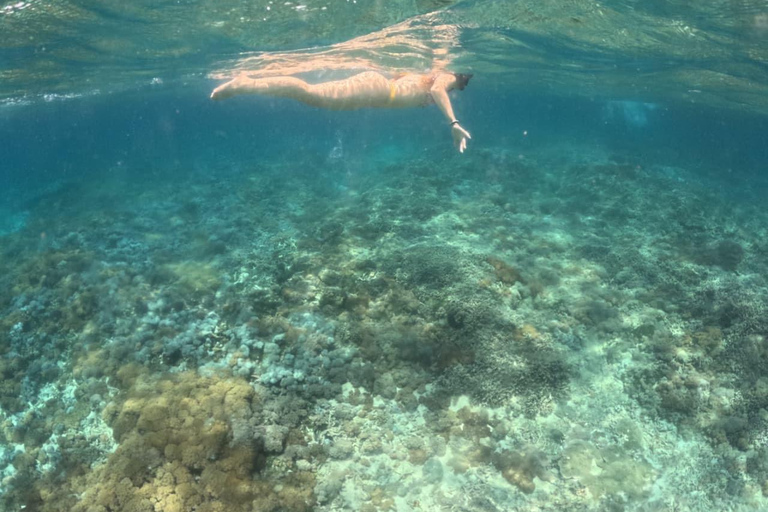 Lombok: Gili Islands Snorkeling Tour with Hotel Pickup Provate snorkling gili island with camera underwater