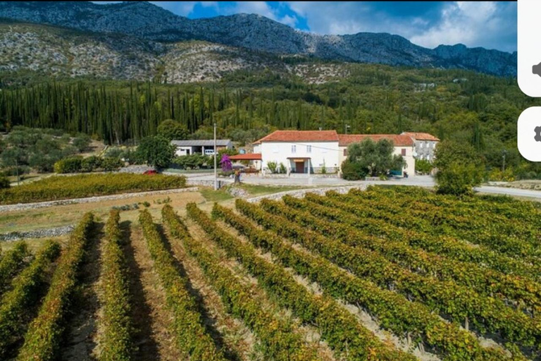 Dubrovnik: Brajković Winery and Ljuta River Tour with …