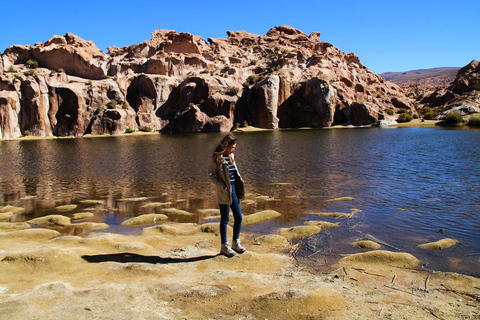 Depuis Uyuni : 3 jours de visite des salines d&#039;Uyuni et de la Laguna Colorada