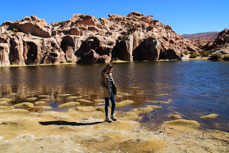 Desde Uyuni: Excursión de 3 días al Salar de Uyuni y Laguna Colorada