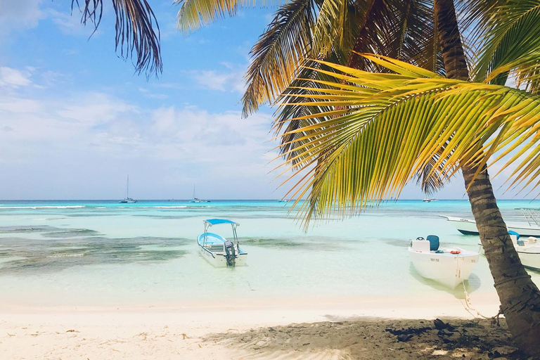 Punta Cana: Swim & Ride Horse on Caribbean Beach & Transport
