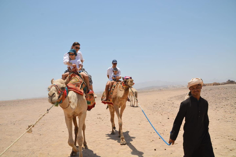 Hurghada: Dolphin Show, Snorkeling, submarine& Bedouin Tour