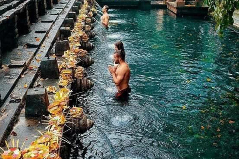 Ubud Tour: Monkey Forest, Waterfall, Rice Terrace, Temple