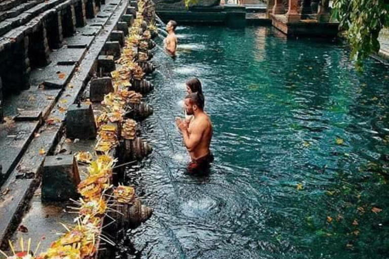 Ubud Tour: Monkey Forest, Waterfall, Rice Terrace, Temple