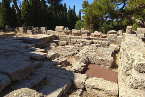 Rhodes : mont Filérimos et vallée des papillons en bus